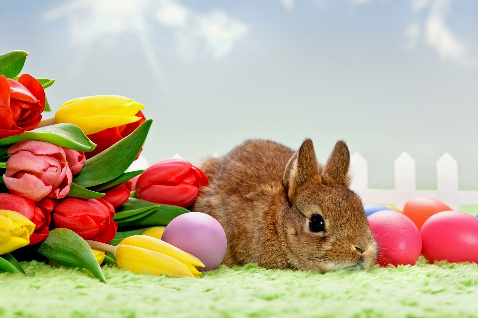 Happy Easter 2016 Wishes Images Eggs Wallpaper pictures