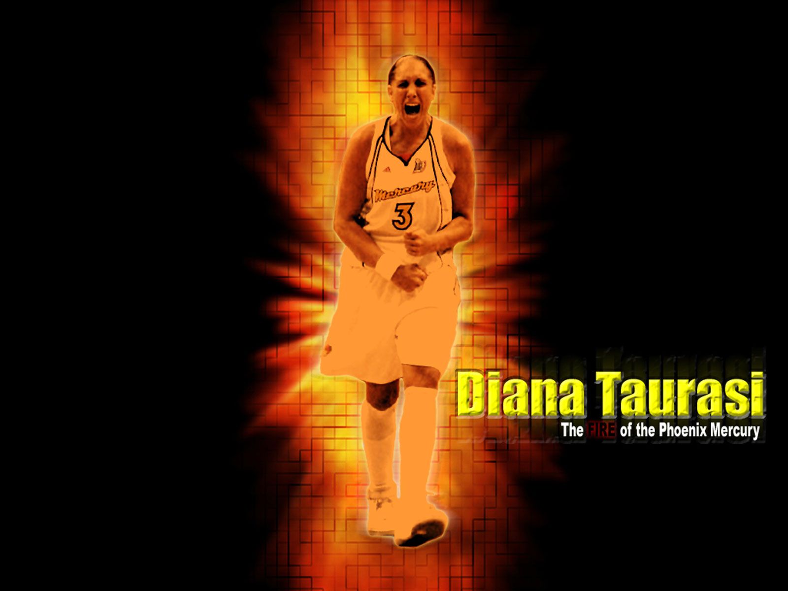 Diana Taurasi Wallpaper | Basketball Wallpapers at ...