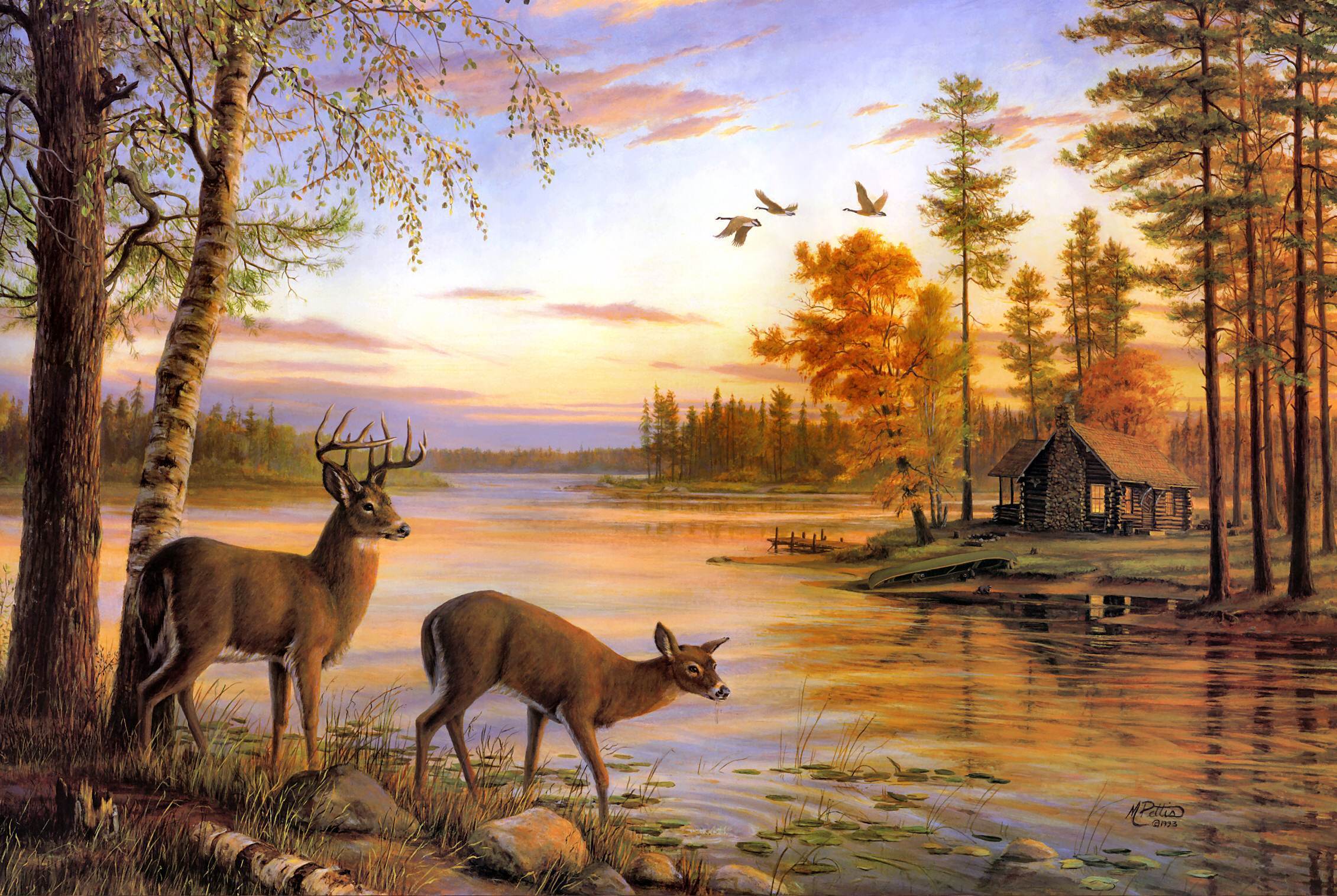 Nature Scenes With Deer | homz.xyz