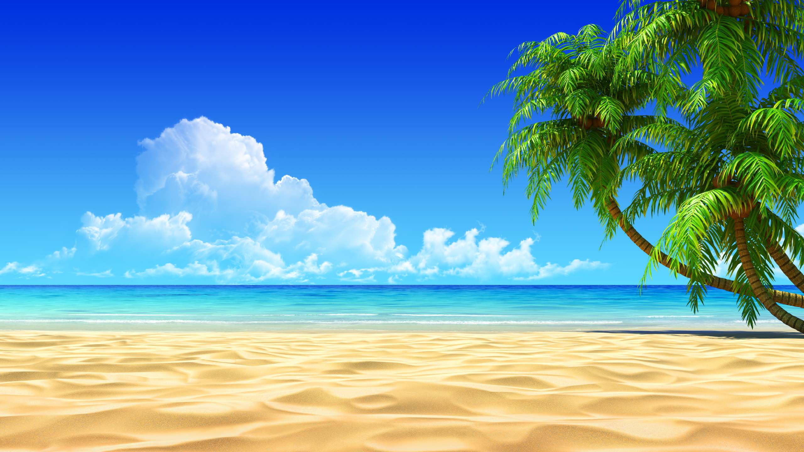 Awesome, Tropical, Beach, Desktop, Background, Hd, Wallpaper