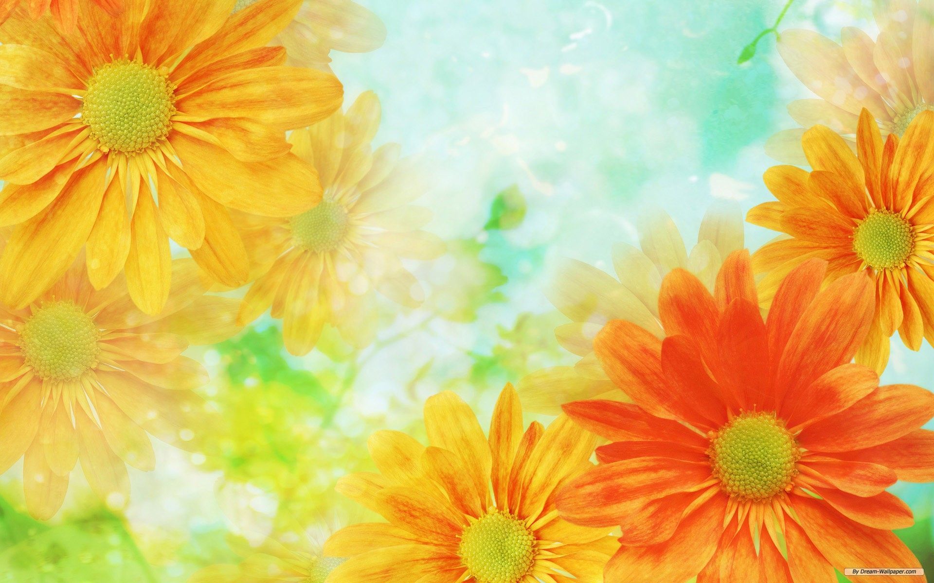 Flower Wallpaper Background - Desktop Backgrounds
