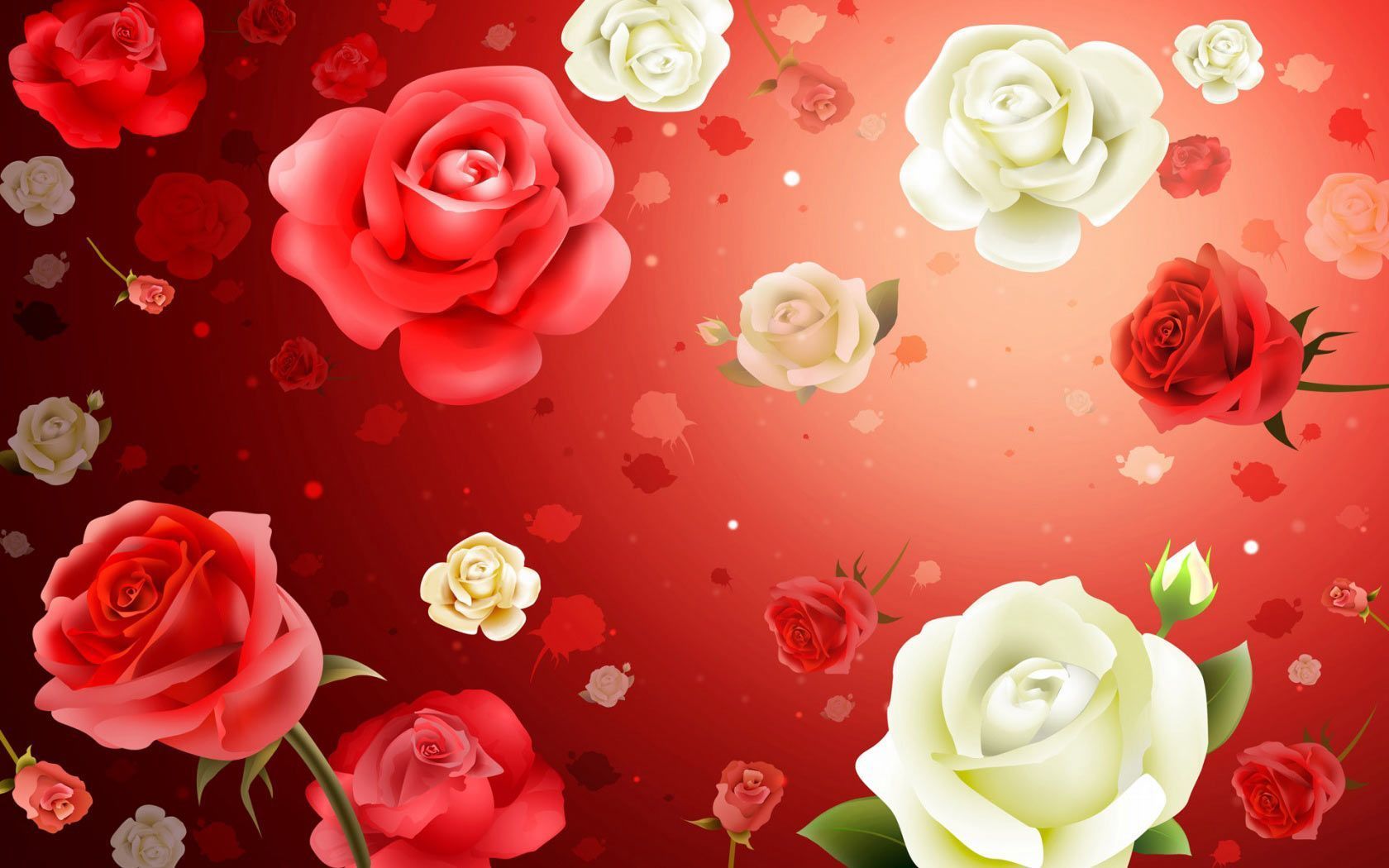beautiful floral flowers wallpapers Download