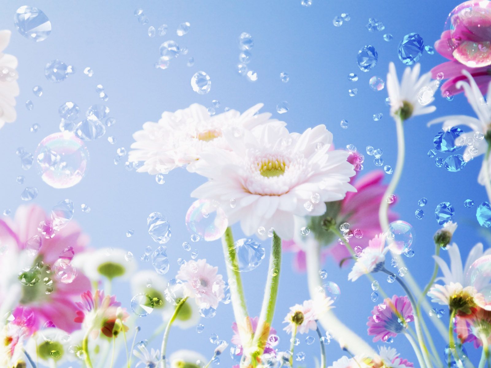 pretty-flower-backgrounds.jpg