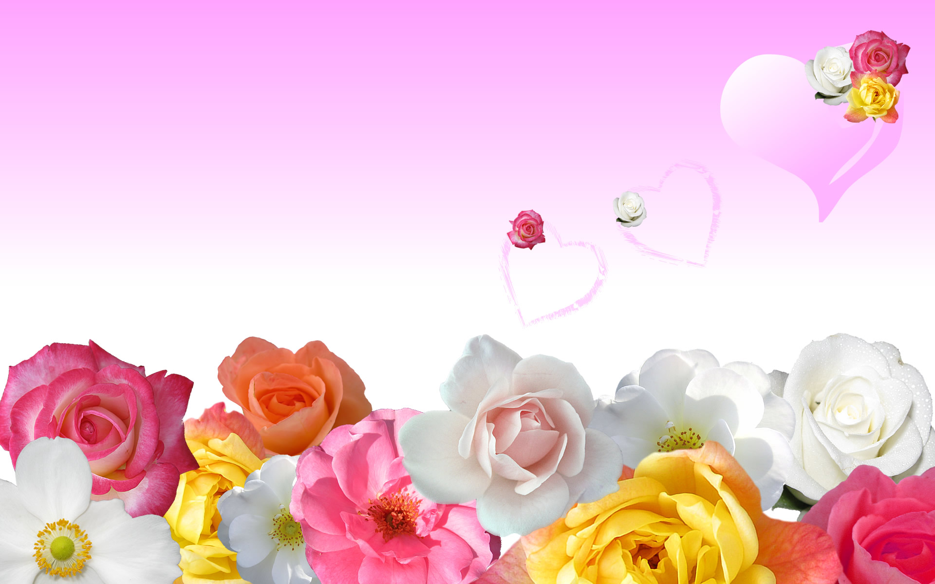 Rose Flower Wallpaper Collection (47+)