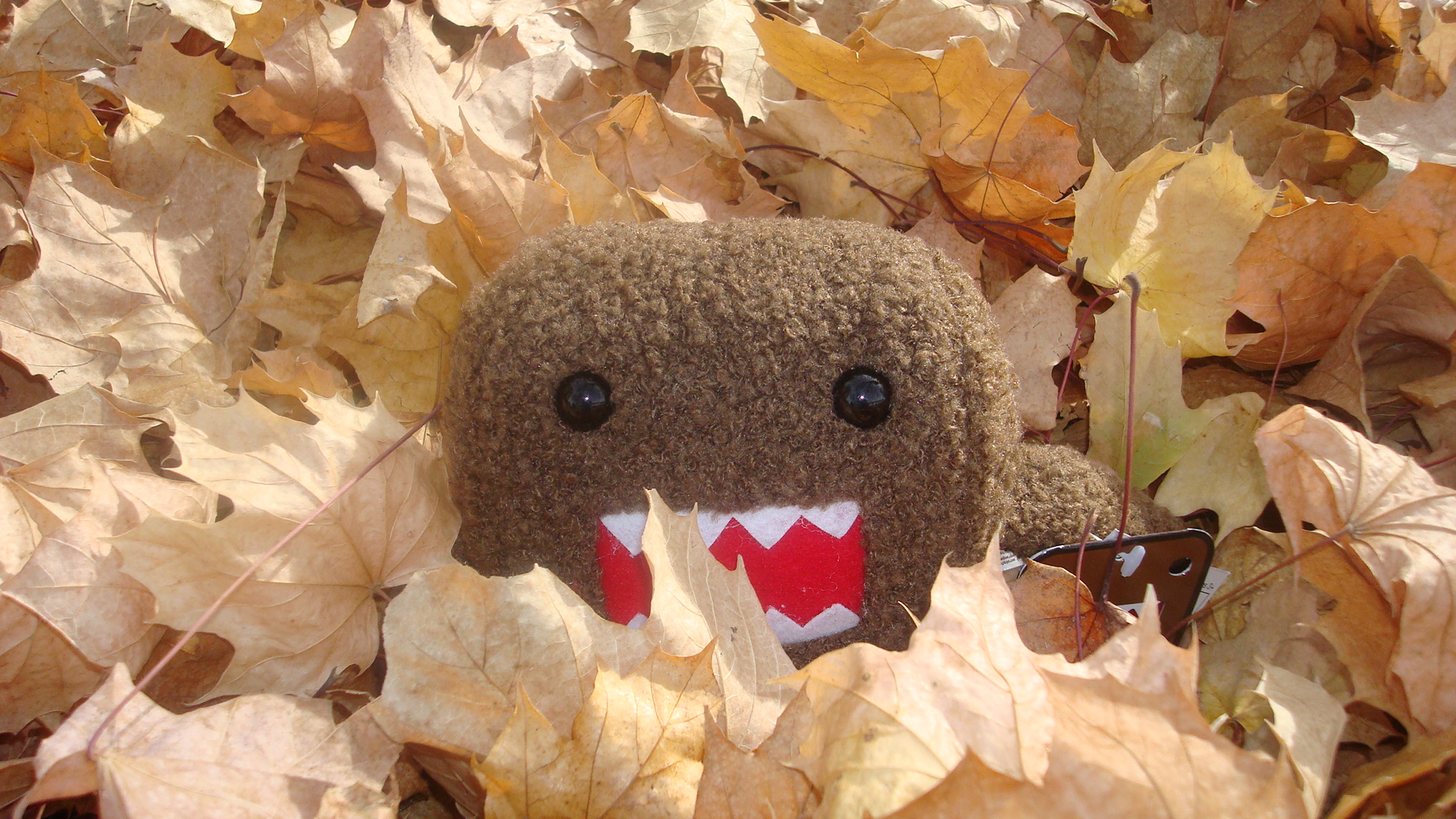 Cute Domo Wallpaper (54+ pictures)