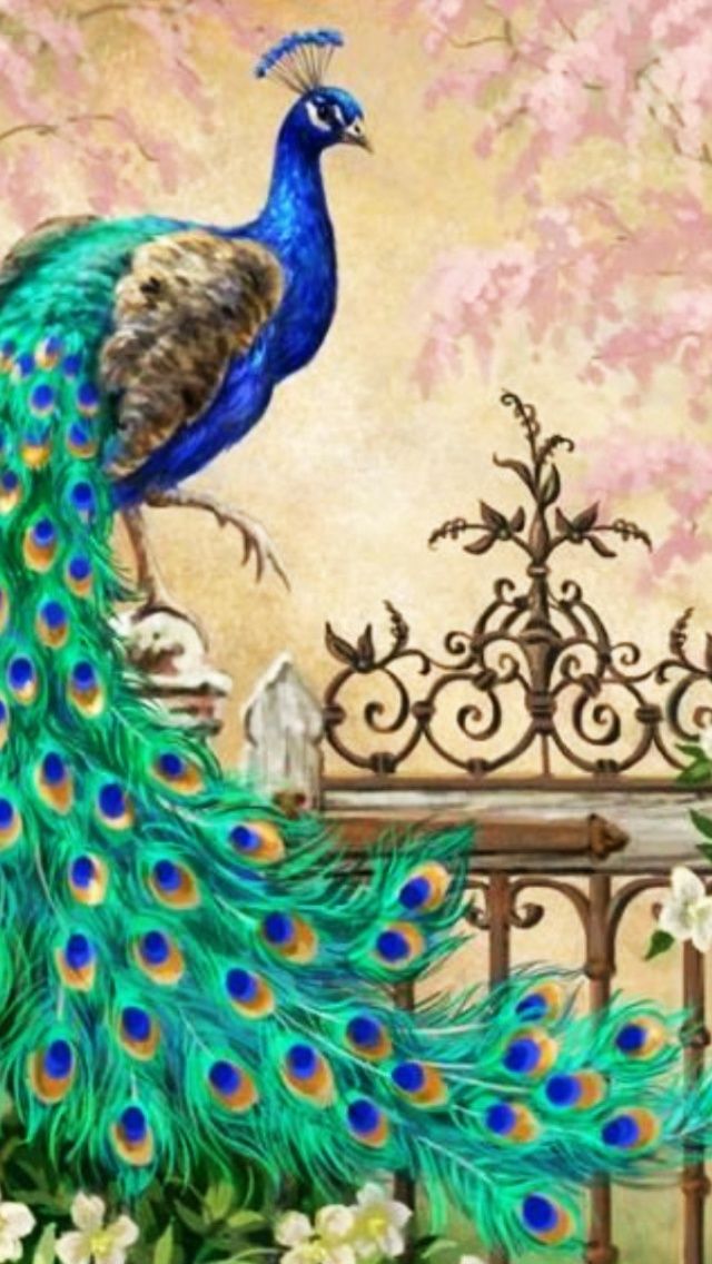 640x1136 Pretty Peacock Garden Gate Iphone 5 wallpaper