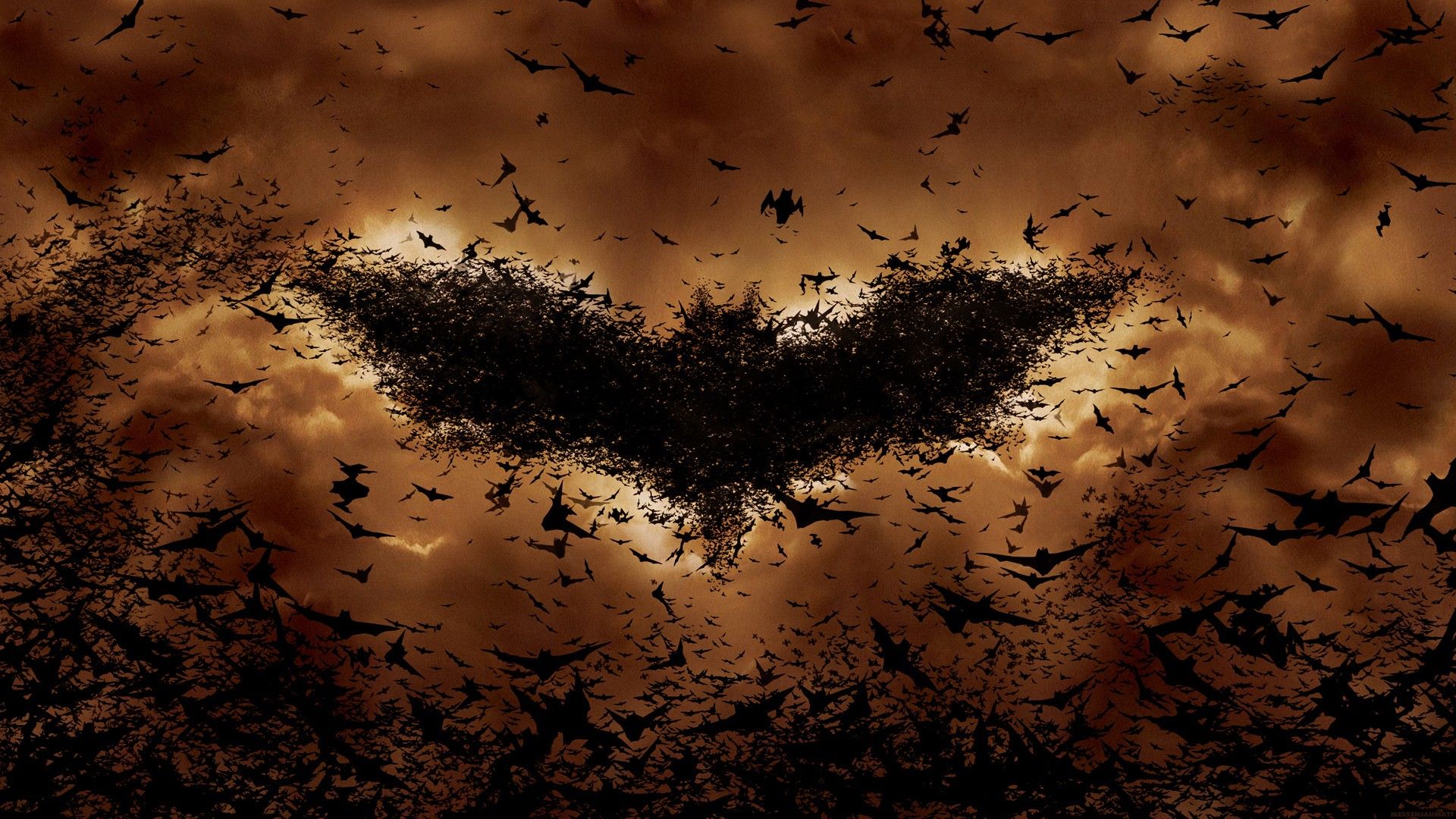 Bat HD Wallpaper | Bat Image Free | Cool Wallpapers