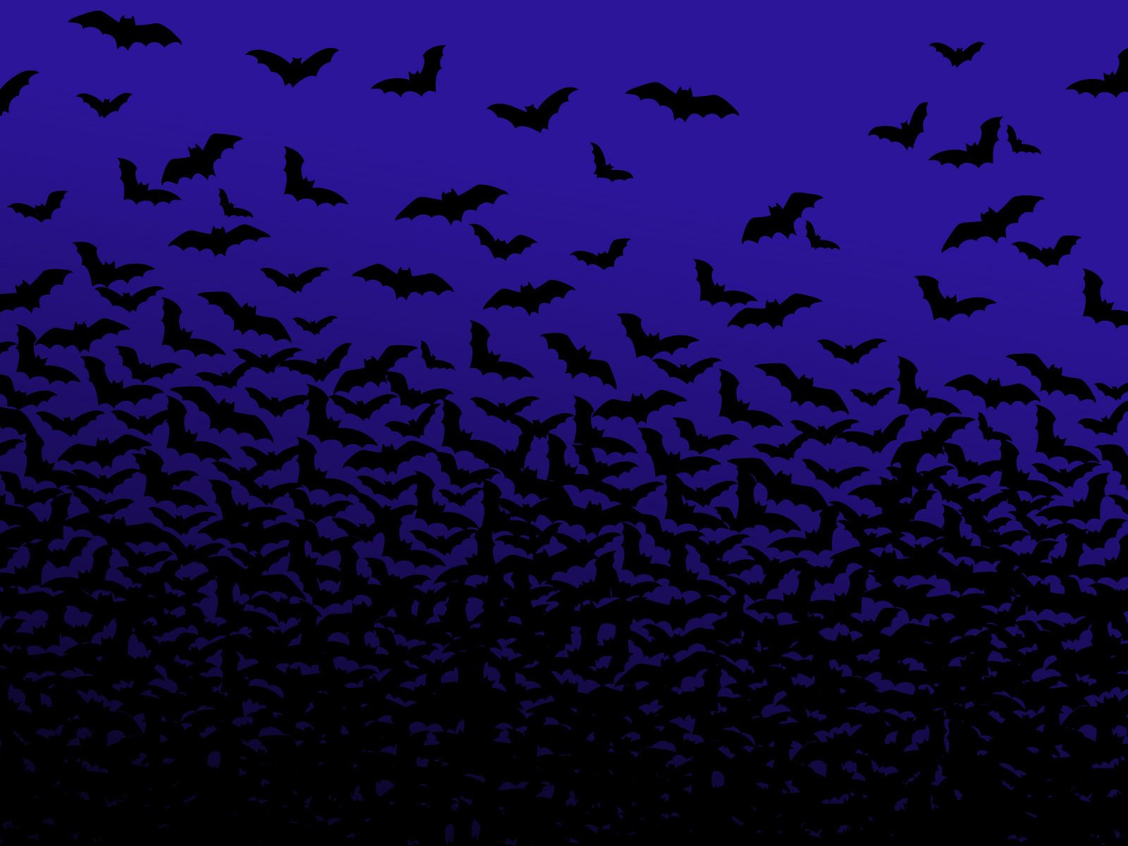 Bats Wallpaper - 171808