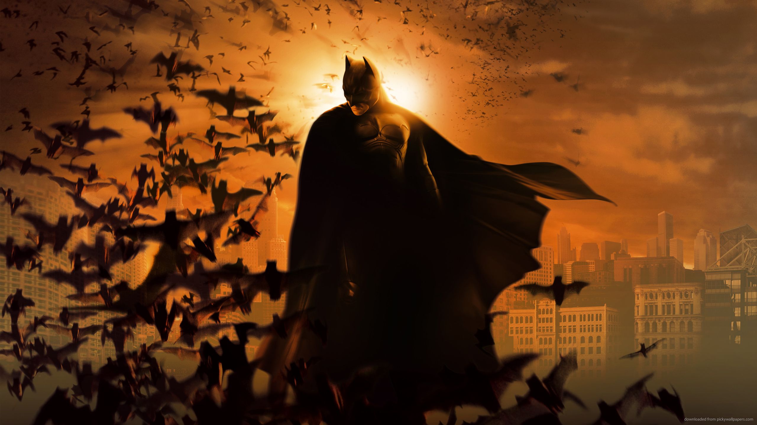 Download 2560x1440 Batman The Dark Knight Rises Flying Bats Wallpaper