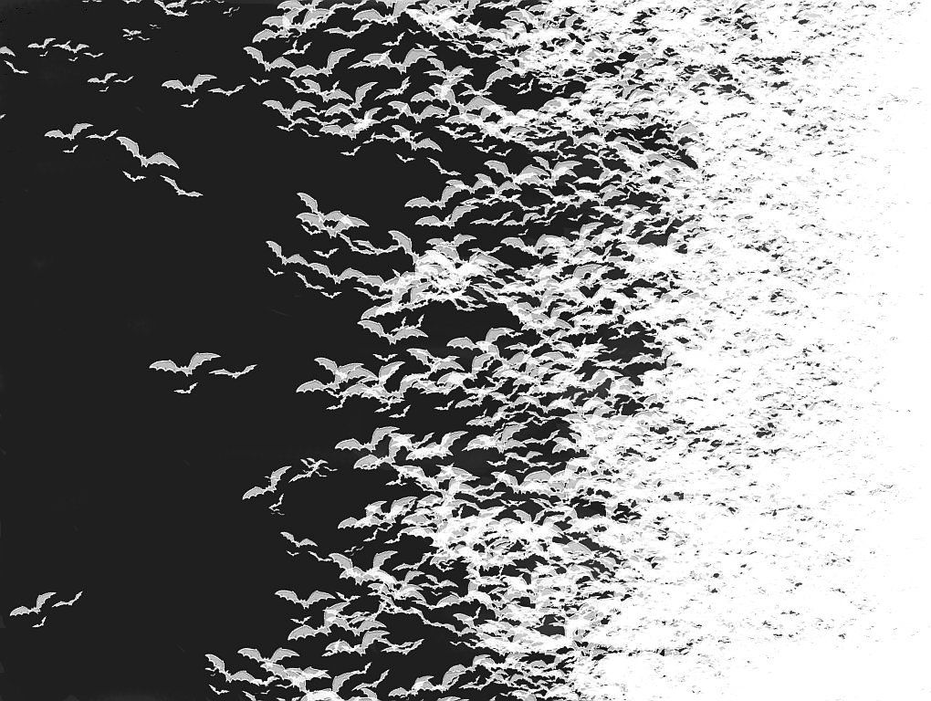 bats by worlithe high resolution #9kOB