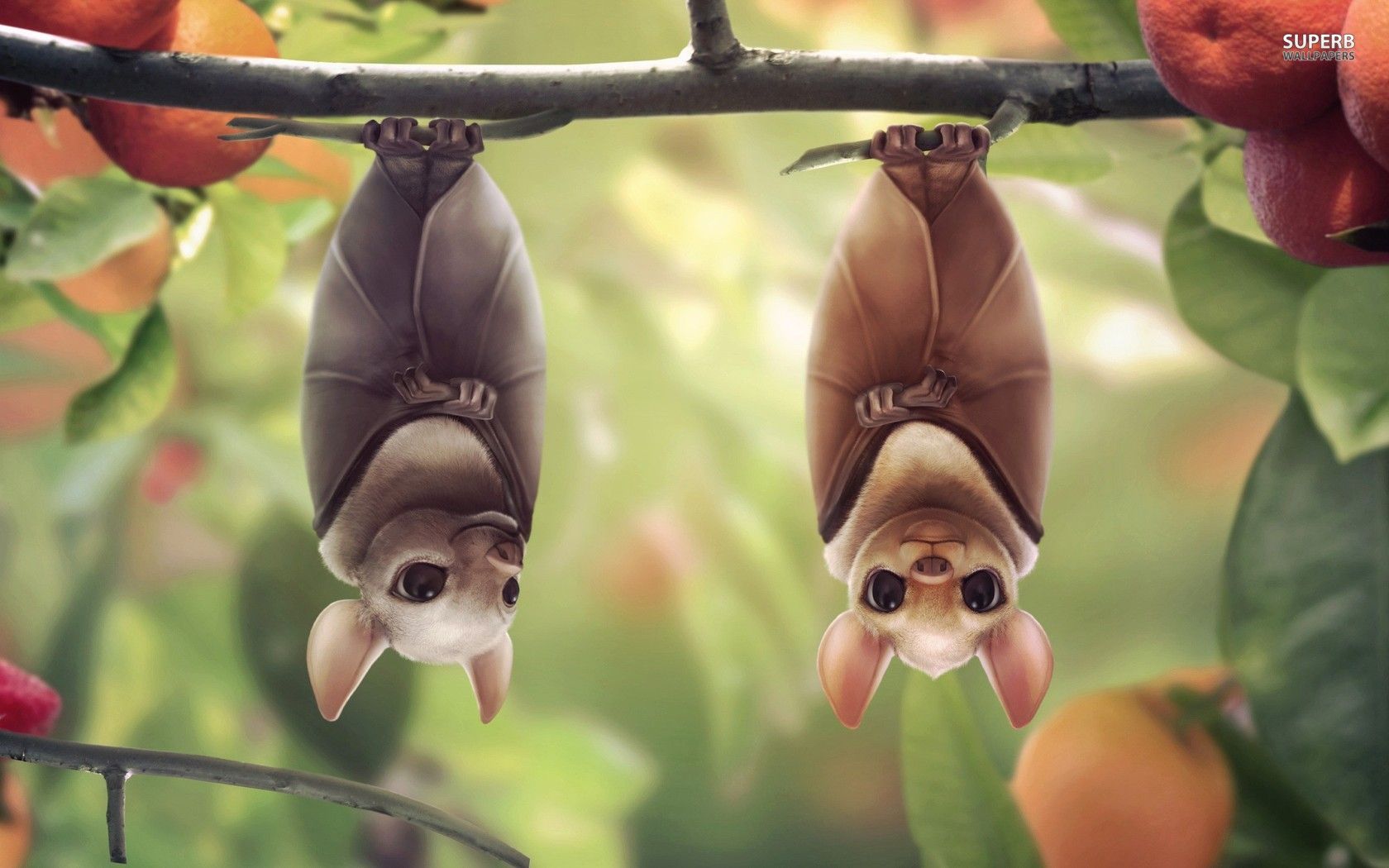 Hanging bats wallpaper - Digital Art wallpapers -
