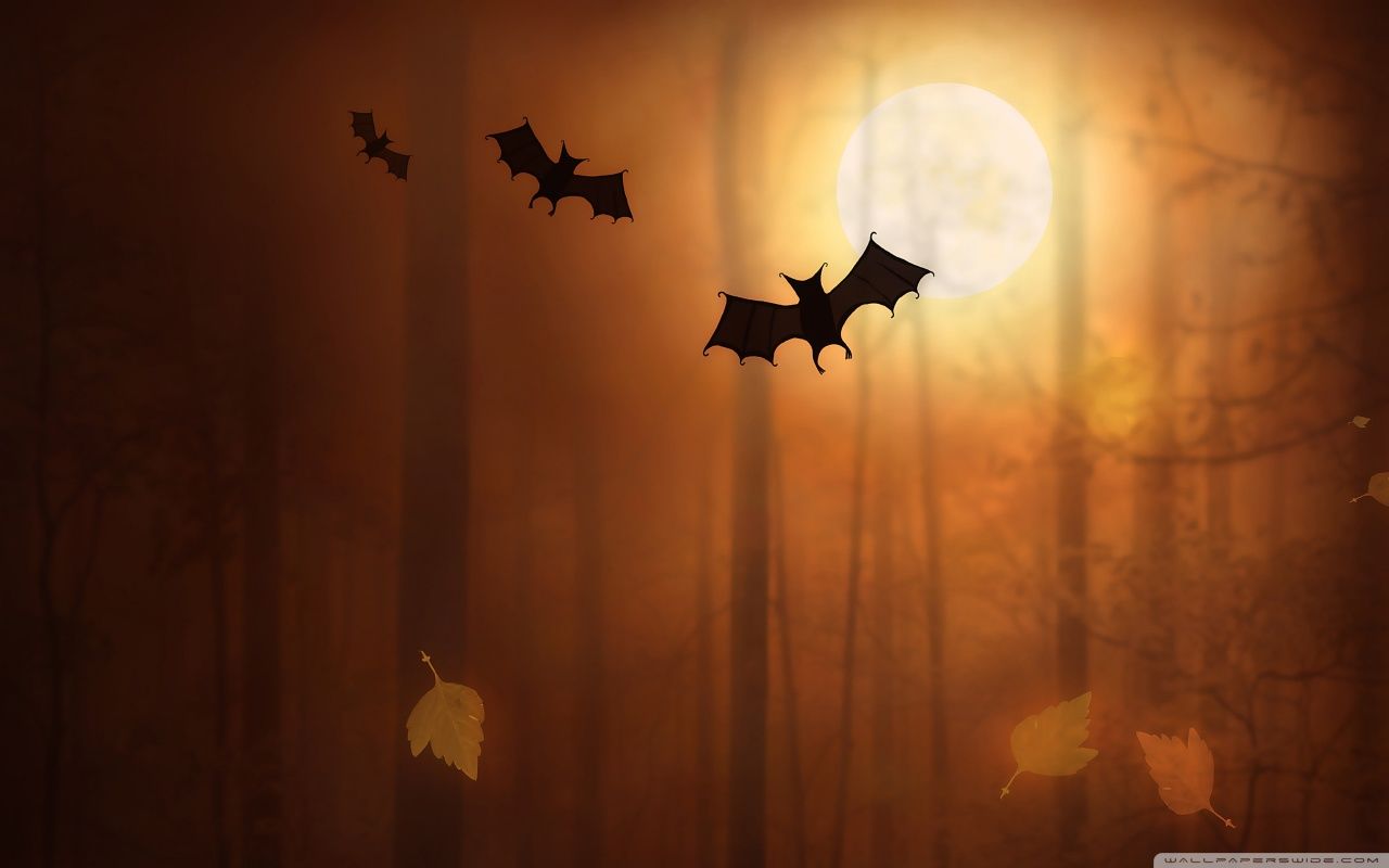 Halloween Bats HD desktop wallpaper Mobile Dual Monitor