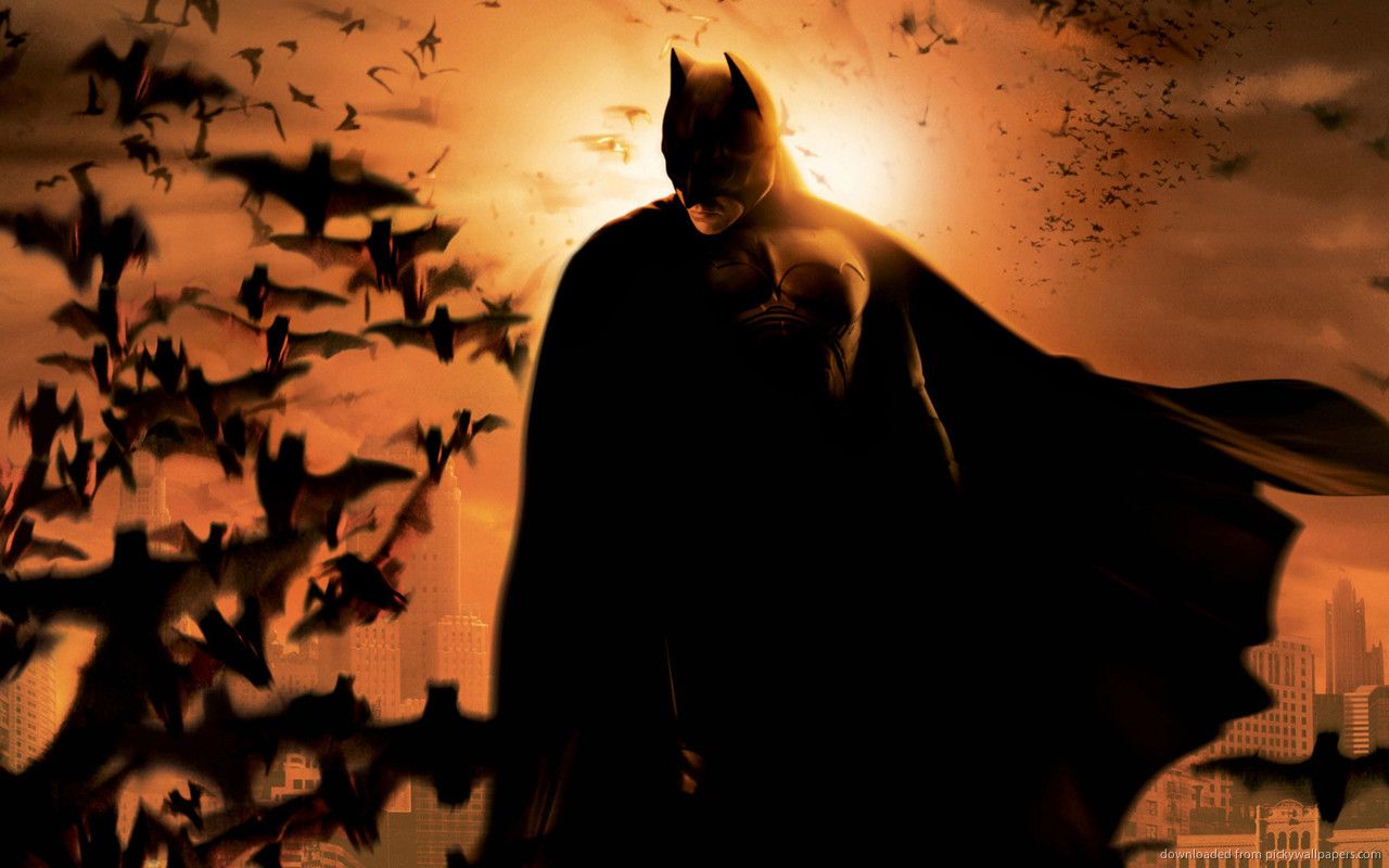 Download 1280x800 Batman And Bats Wallpaper