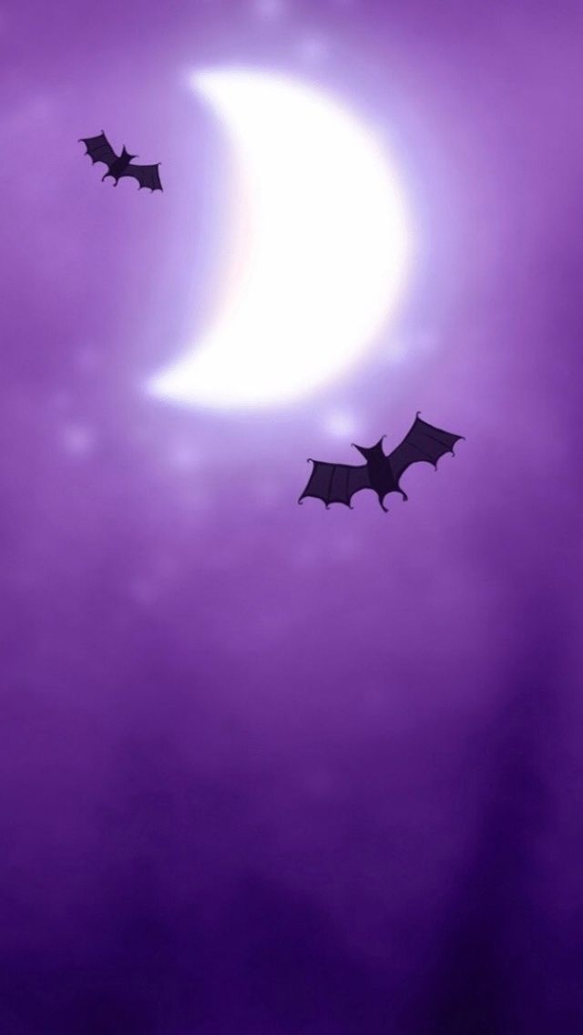 Purple Bats iPhone 5 Wallpaper (640x1136)