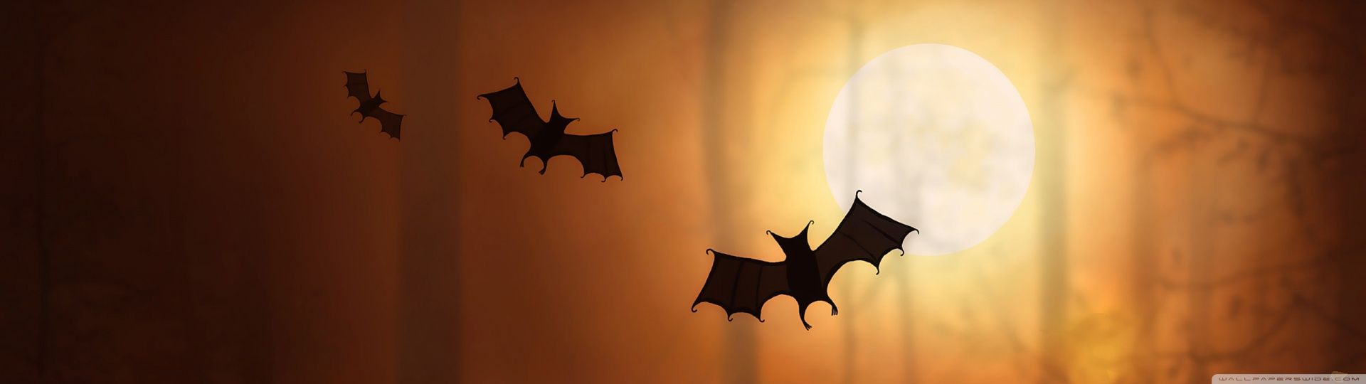 Halloween Bats HD desktop wallpaper : Mobile : Dual Monitor