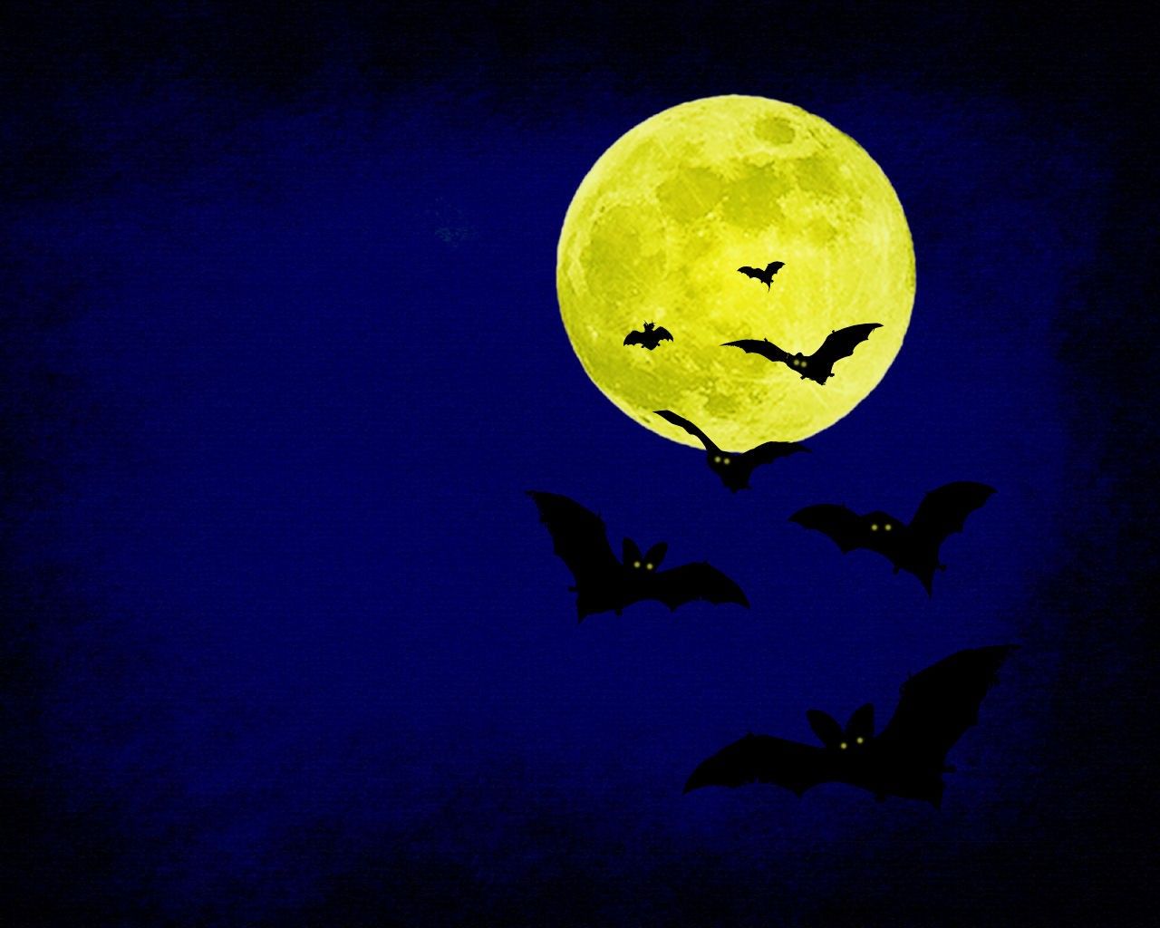 Scary Halloween 2012 HD Wallpapers | Pumpkins, Witches, Spider Web ...