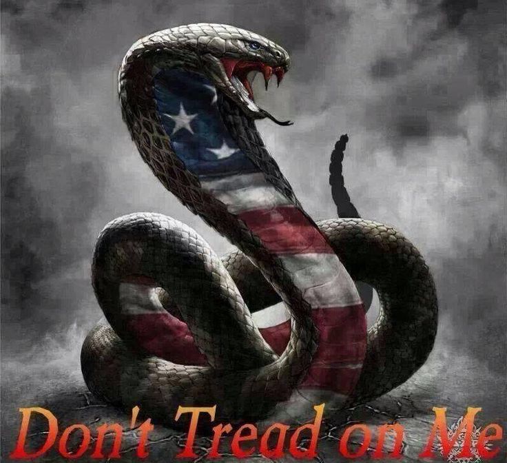 Dont Tread On Me Wallpaper  Download to your mobile from PHONEKY