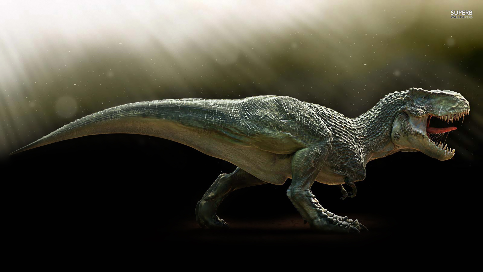 Featured image of post T Rex Wallpaper Gif We have a massive amount of hd images that will make your computer or smartphone look absolutely