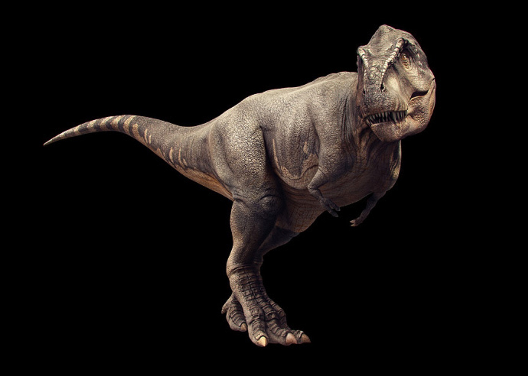 Ти рекс король динозавров. Тираннозавр рекс рекс. Тиранозавр рекс Тиранозавр рекс. Тираннозавр рекс 2022. Динозавр Тирекс 3д.