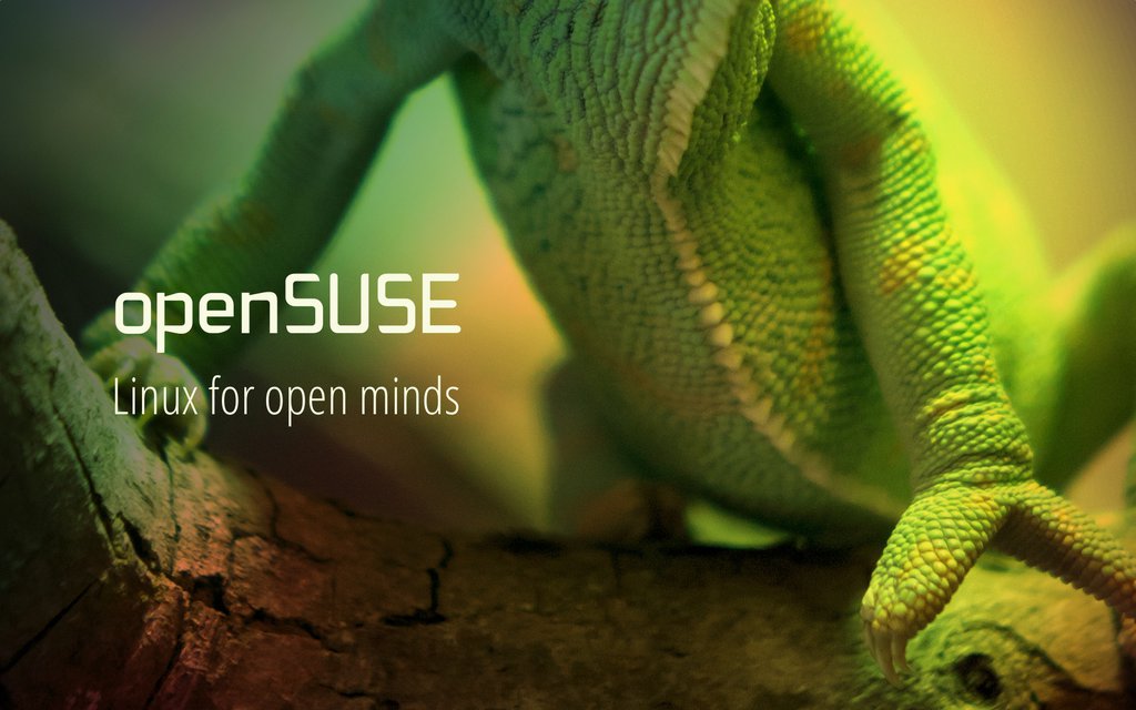 openSUSE Chameleon : Desktop and mobile wallpaper : Wallippo