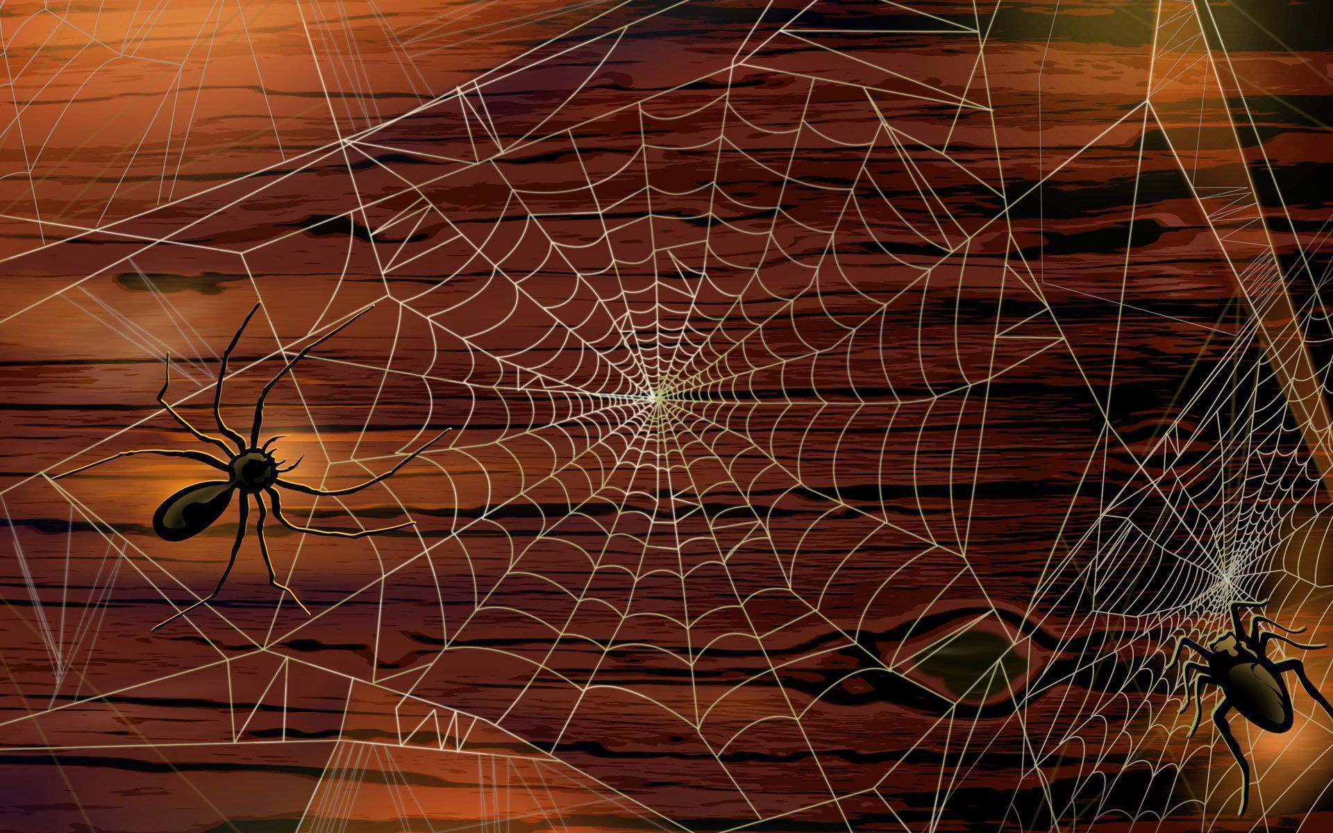 Scary Halloween 2012 HD Wallpapers | Pumpkins, Witches, Spider Web ...