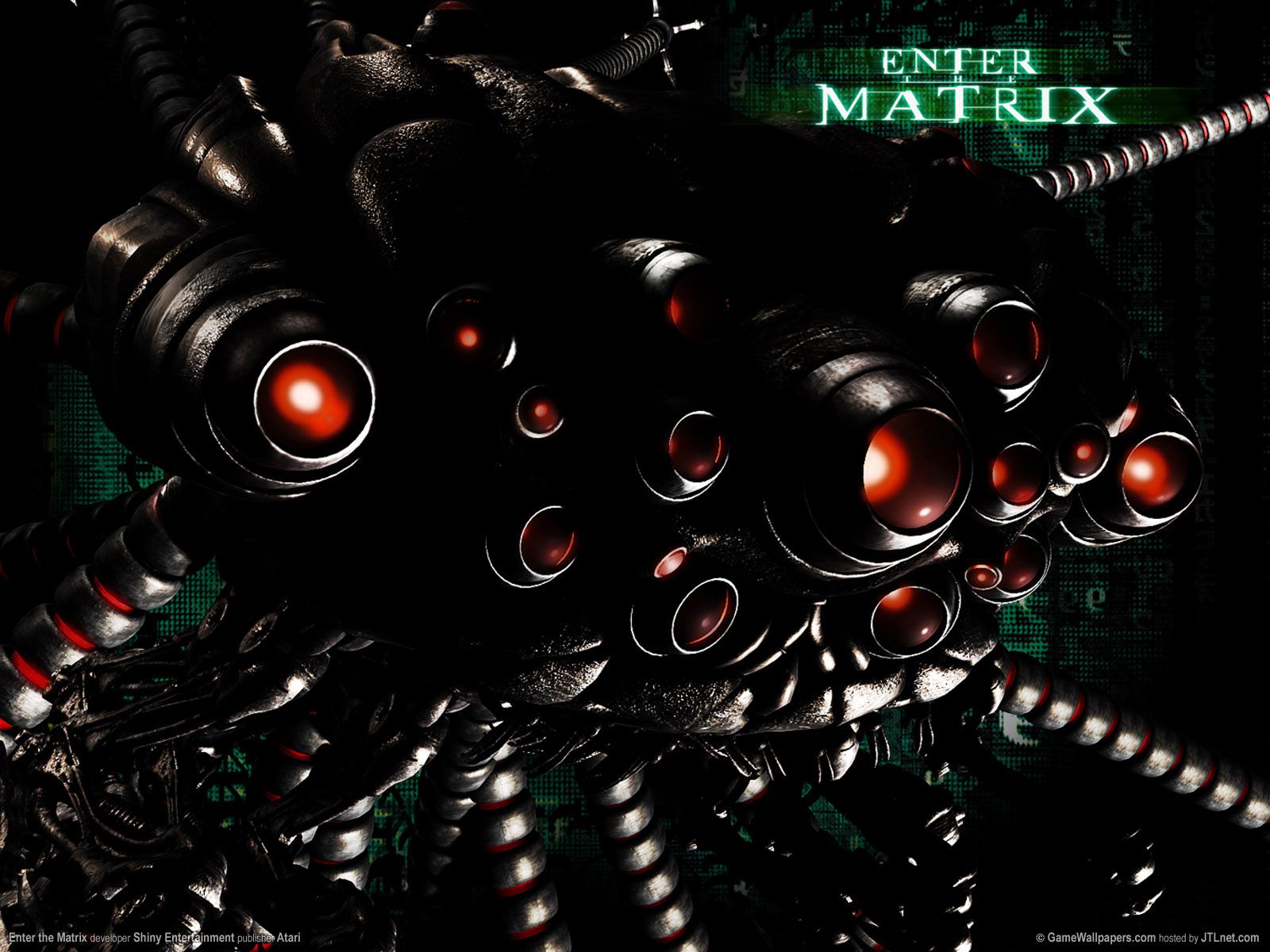 Enter the Matrix wallpapers | Enter the Matrix stock photos