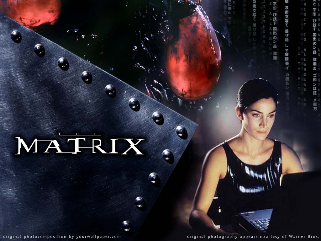 the matrix wallpaper - Neo, Trinity, Morpheus and crew - free ...