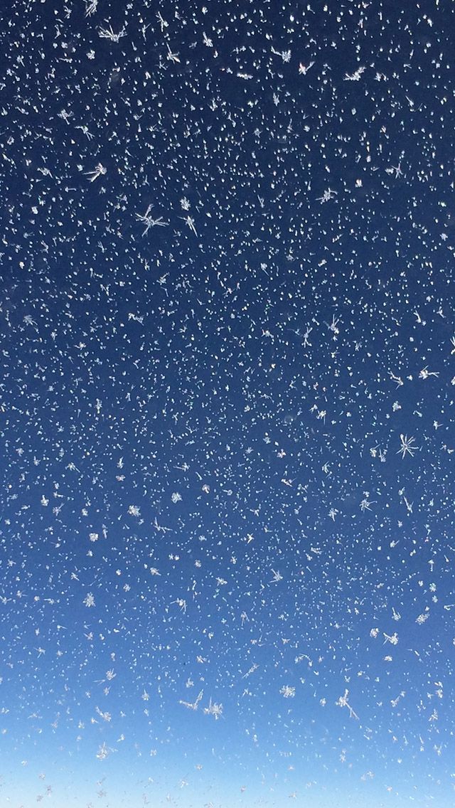 Iphone Wallpaper: Frozen Snowflakes | PremiumCoding Store