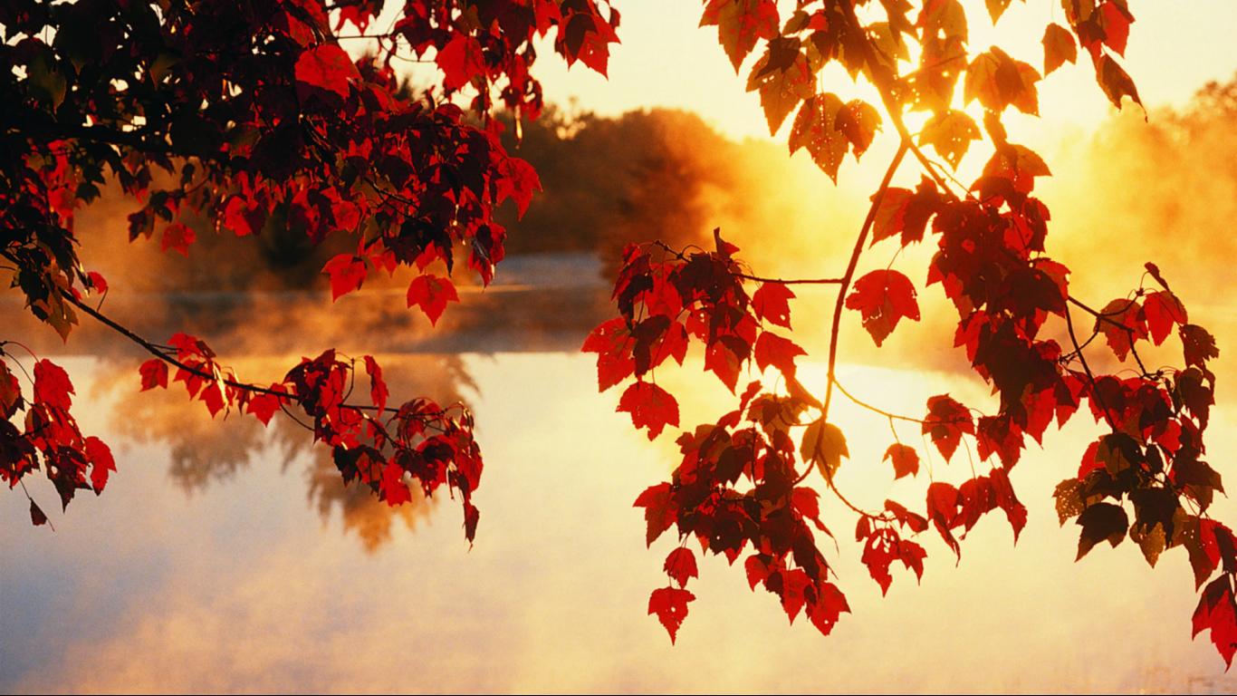 Nice Autumn Wallpaper desktop hd HD Widescreen Backgrounds