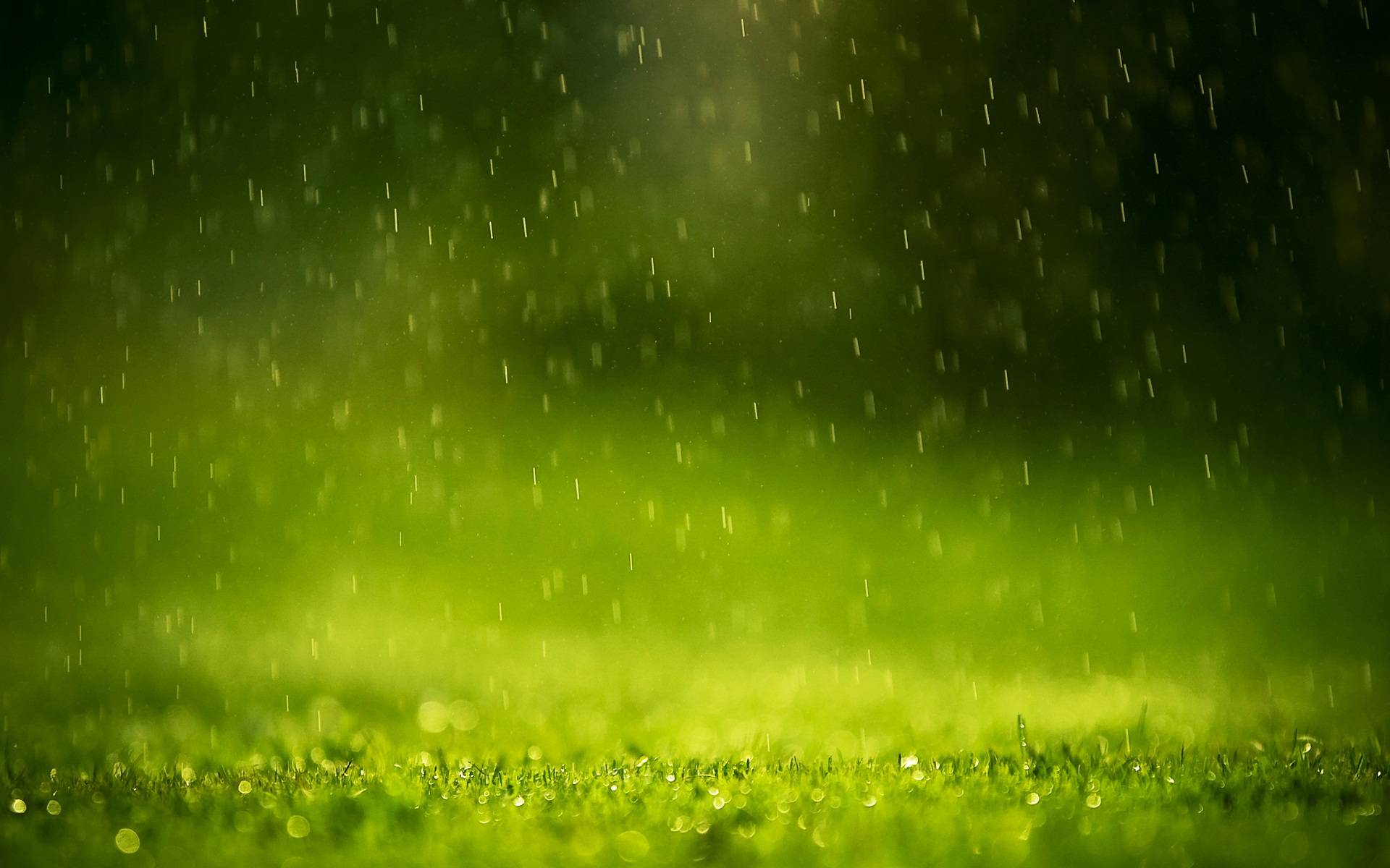 Rain drops wide wallpaper - - High Quality and Resolution
