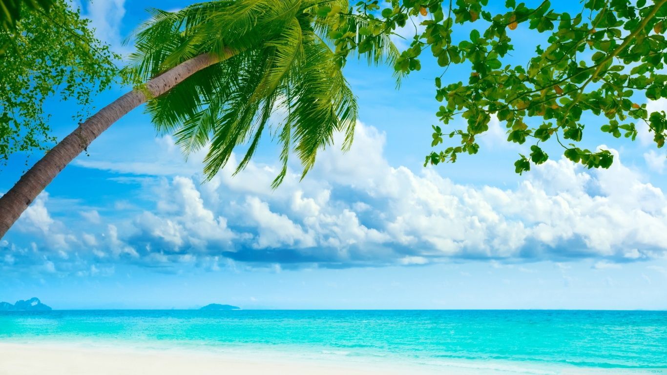 Tropical Beach Resorts HD desktop wallpaper Widescreen High resolution