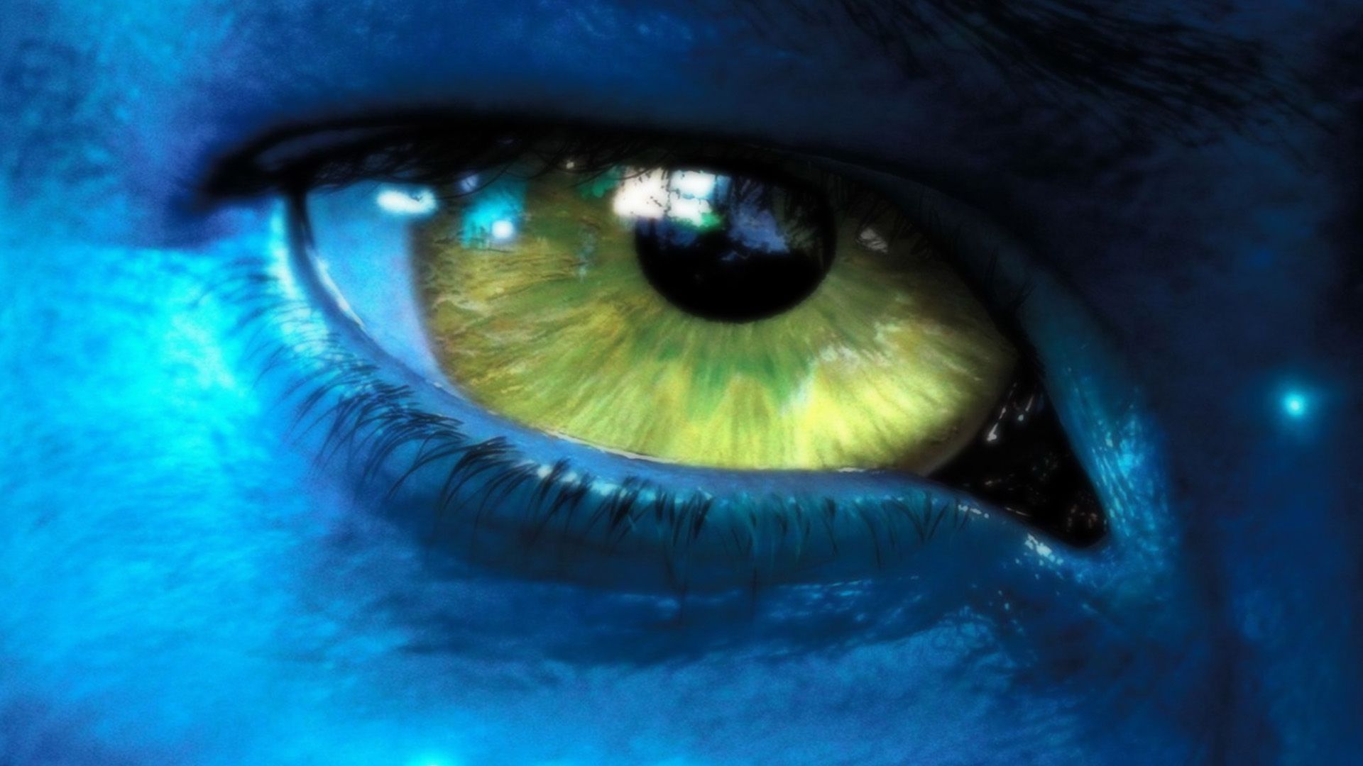 Avatar Movie Wallpapers Collection 6 (1920 x 1080 pixels ...