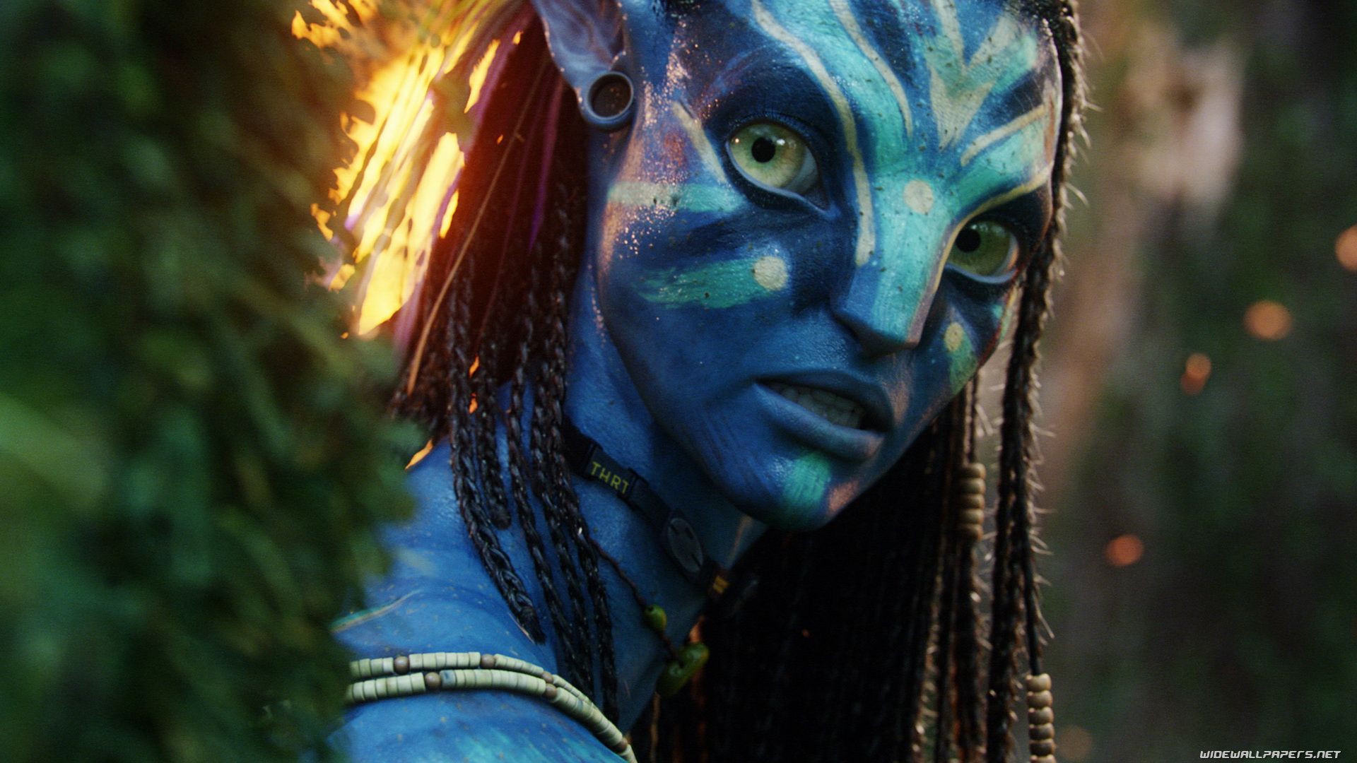Avatar Movie HD Wallpapers Wide Screen - Wallpaper Hd 3D