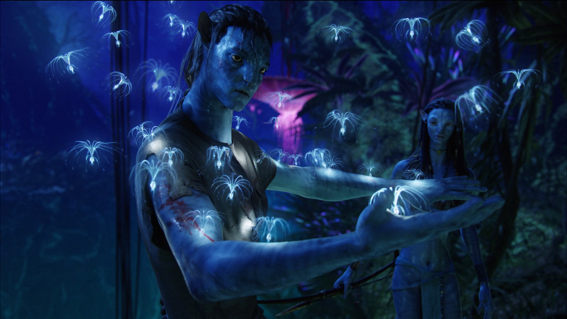 Original Avatar HD Wallpapers for All Avatar Wallpaper Fans