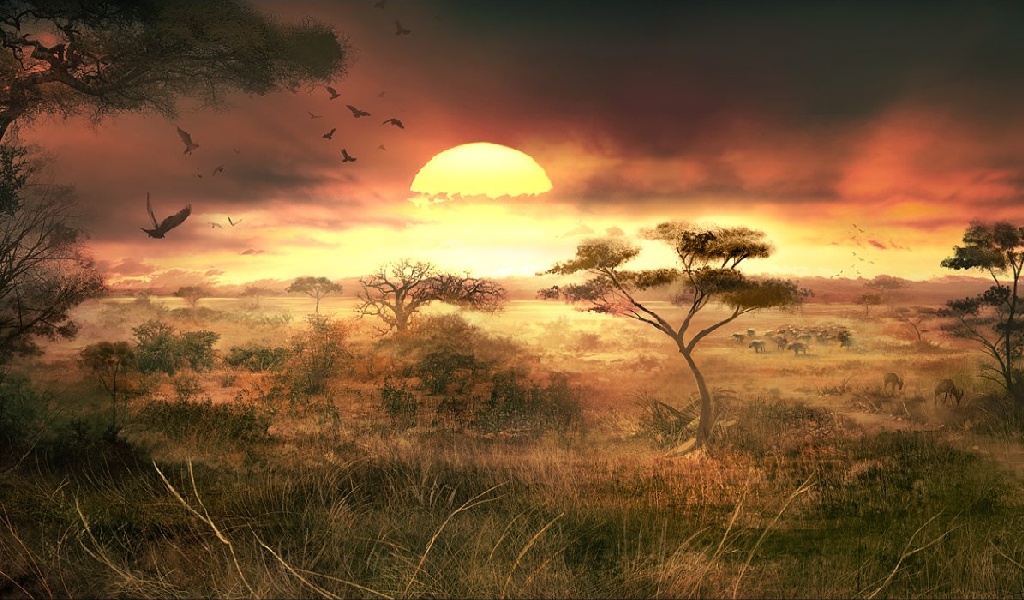 Savanna Sunset Free Wallpaper Background For C #2490 Wallpaper ...