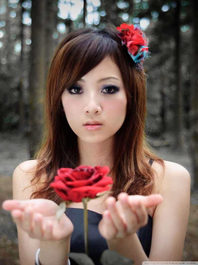 Girl With Red Rose HD desktop wallpaper : High Definition ...