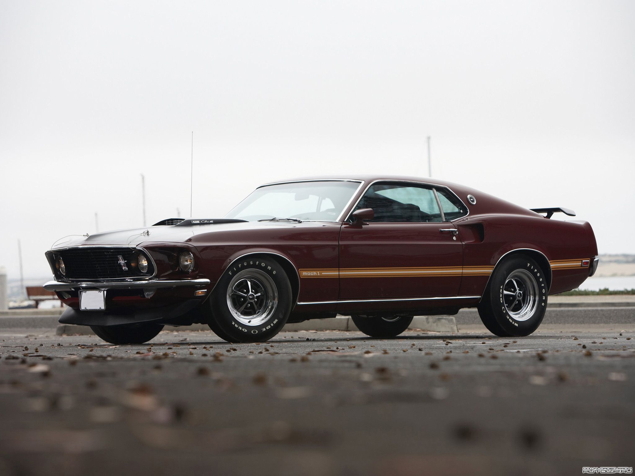 Ford Mustang Mach 1 - image