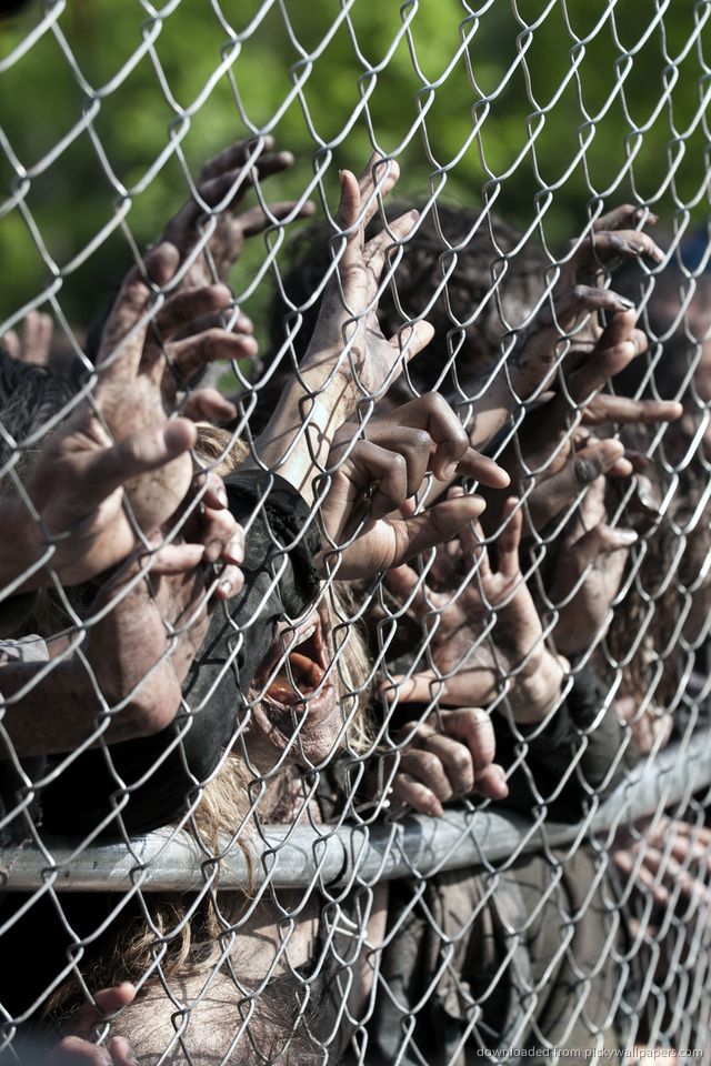 Download The Walking Dead Zombies Behind The Fence Wallpaper For