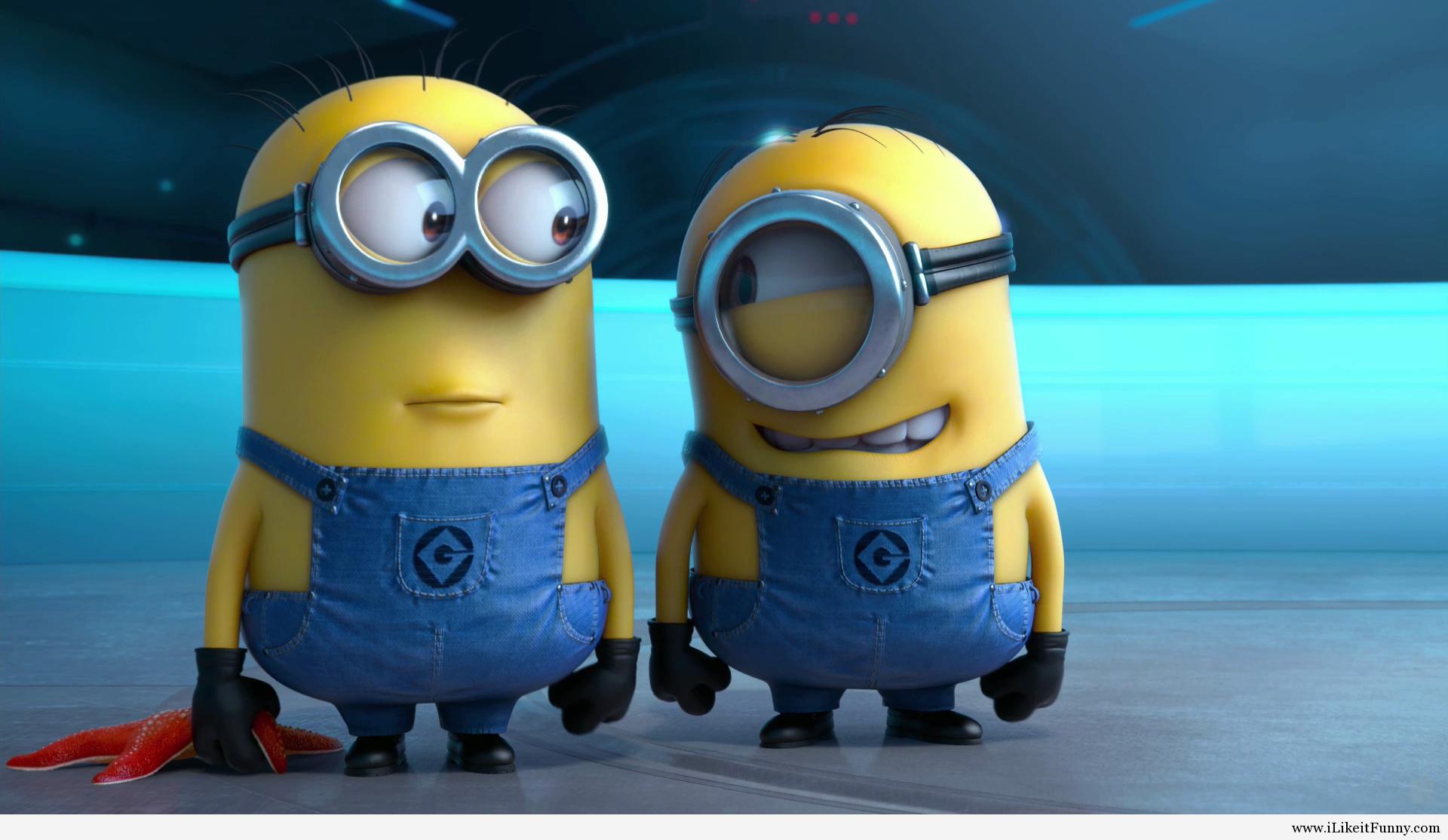Picture 2016, Funny Minions Cartoon HD Wallpaper - Cars, Images ...