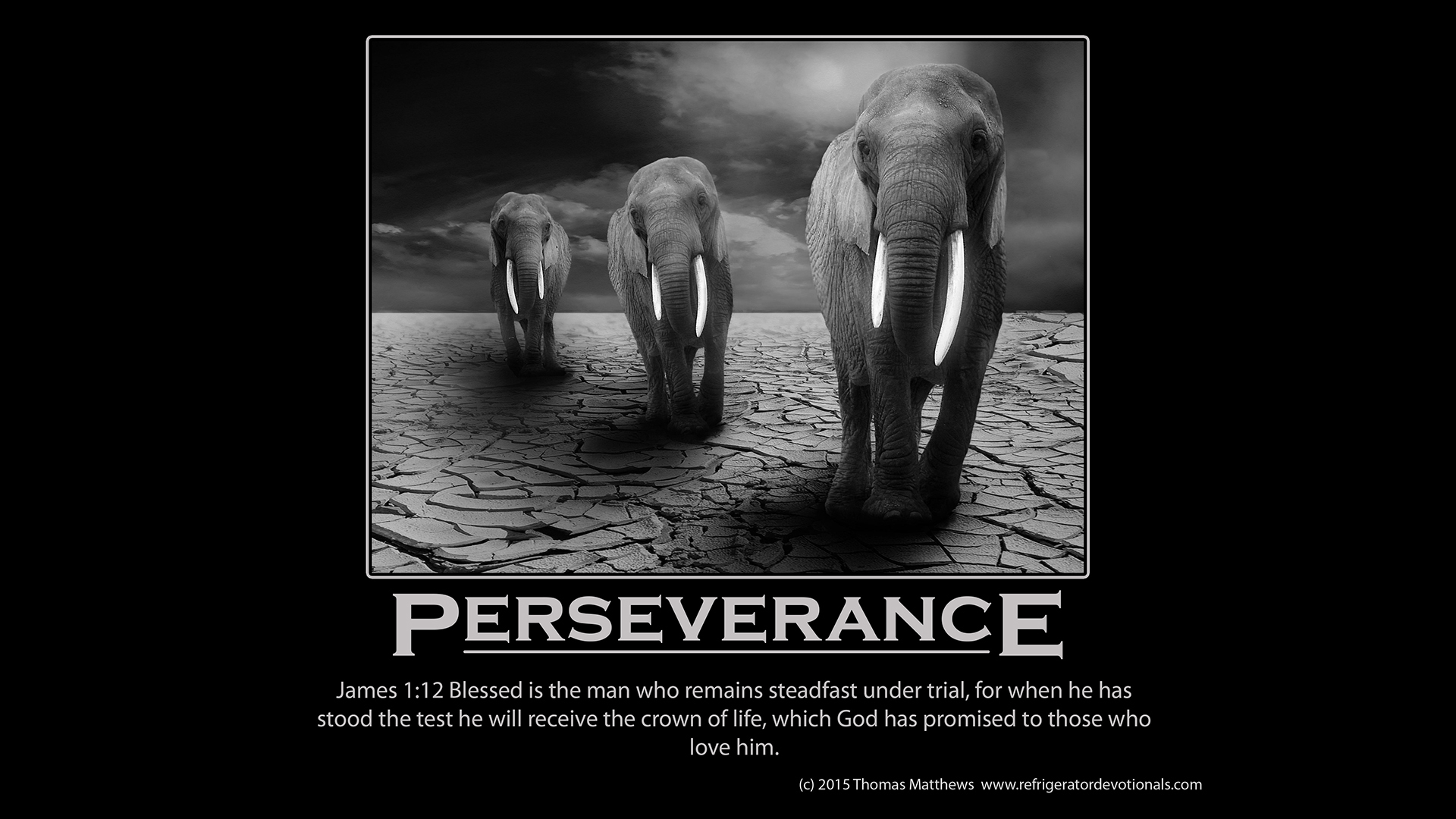 Perseverance | Refrigerator Devotionals