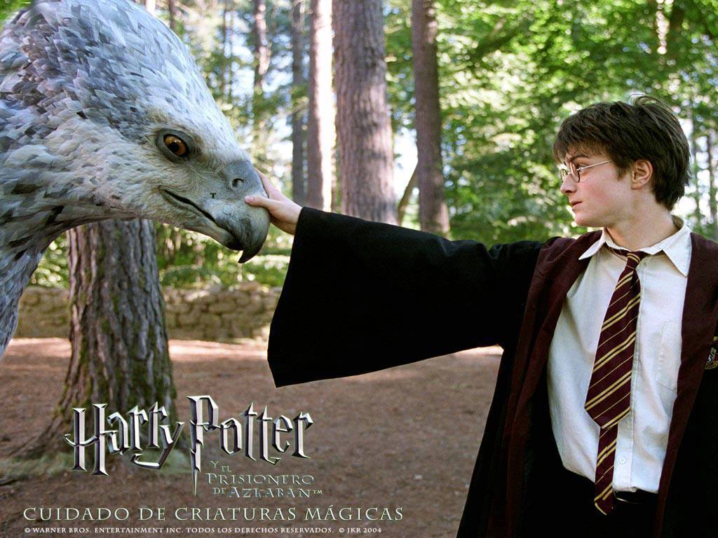 Harry Potter and The Prisoner of Azkaban - Harry James Potter