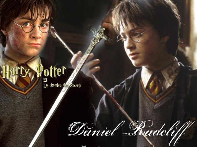 Wallpapers Movies > Wallpapers Harry Potter and The Chamber of ...