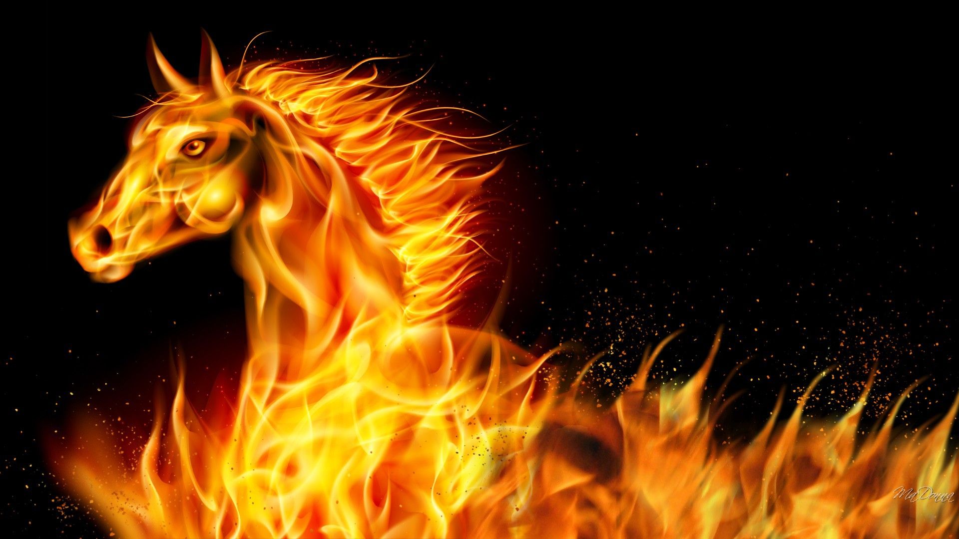 Horses Flaming Horse Flames Year Hot 2014 Abstract New Bright Free ...