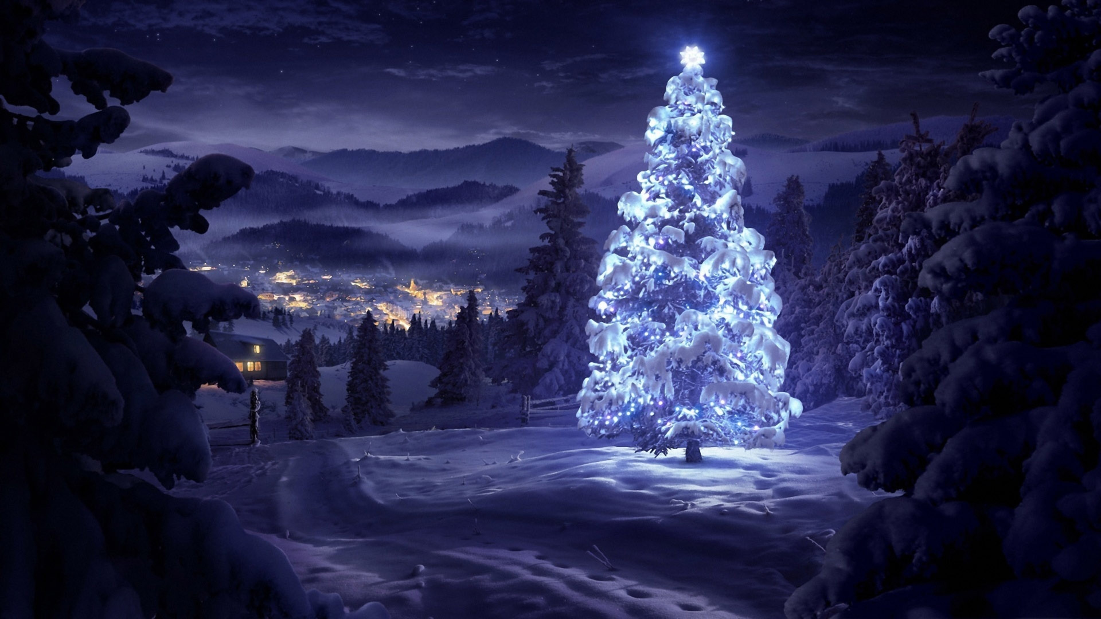 Decorated Christmas Tree Nature 4K Ultra HD Desktop Wallpaper