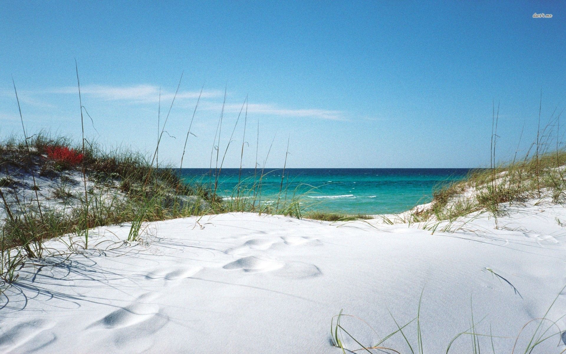 White sanded beach in Florida wallpaper - Beach wallpapers -