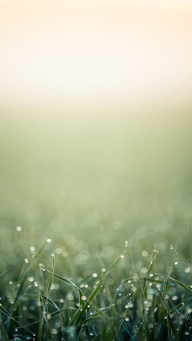 Minimalistic iPhone 5s Wallpapers | iPhone Wallpapers, iPad ...