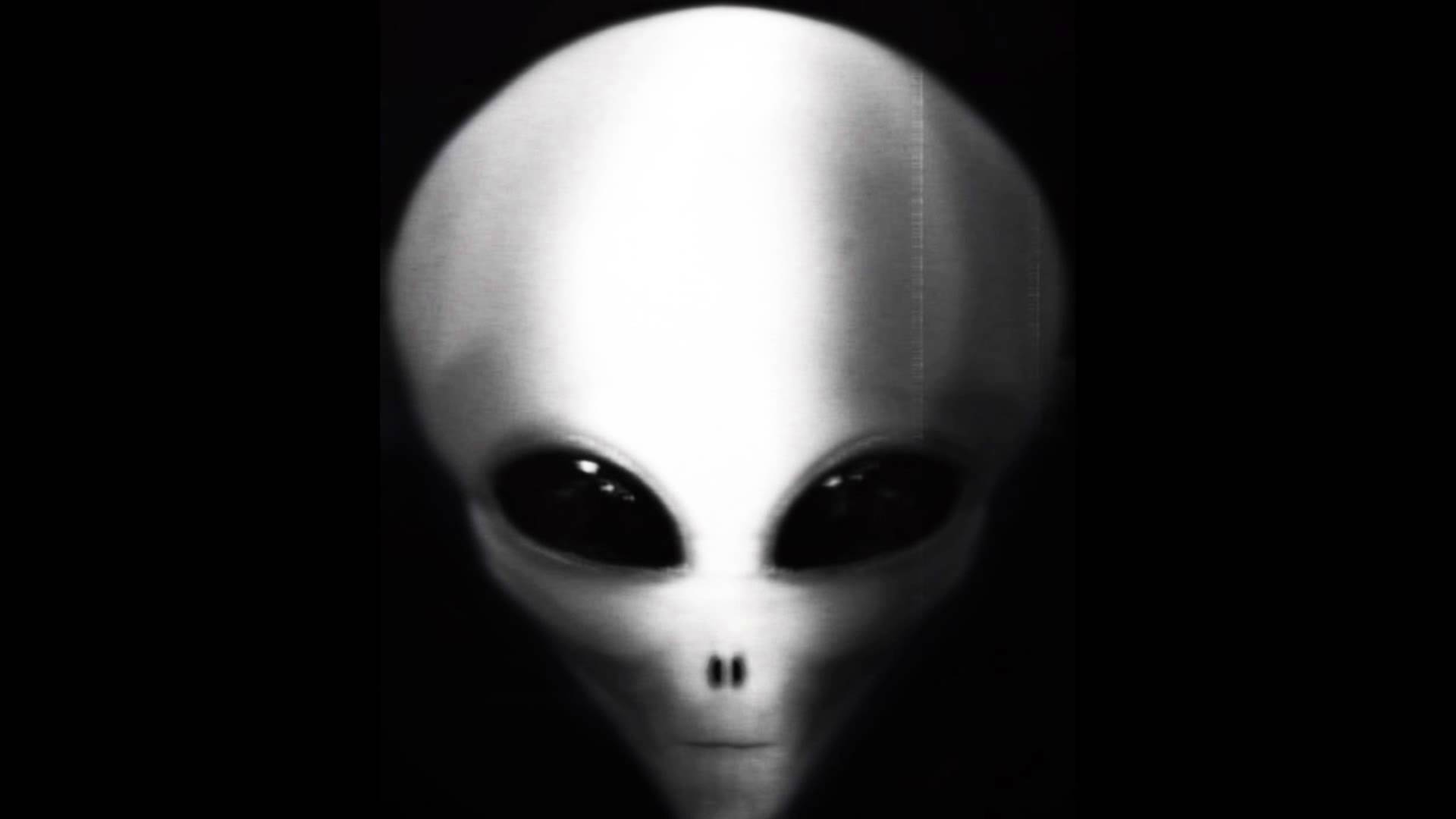 IMAGE | grey alien wallpaper