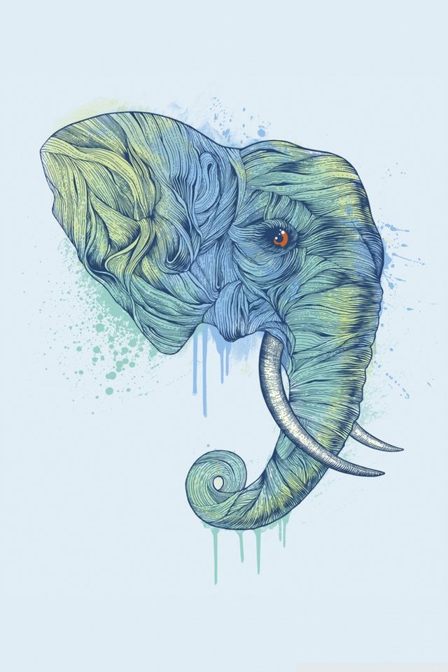 Elephant Head HD desktop wallpaper : High Definition : Fullscreen ...