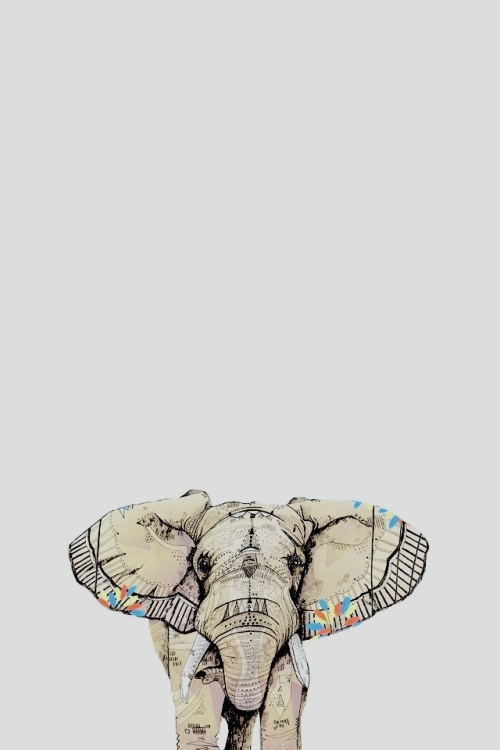 elephants wallpapers | Tumblr