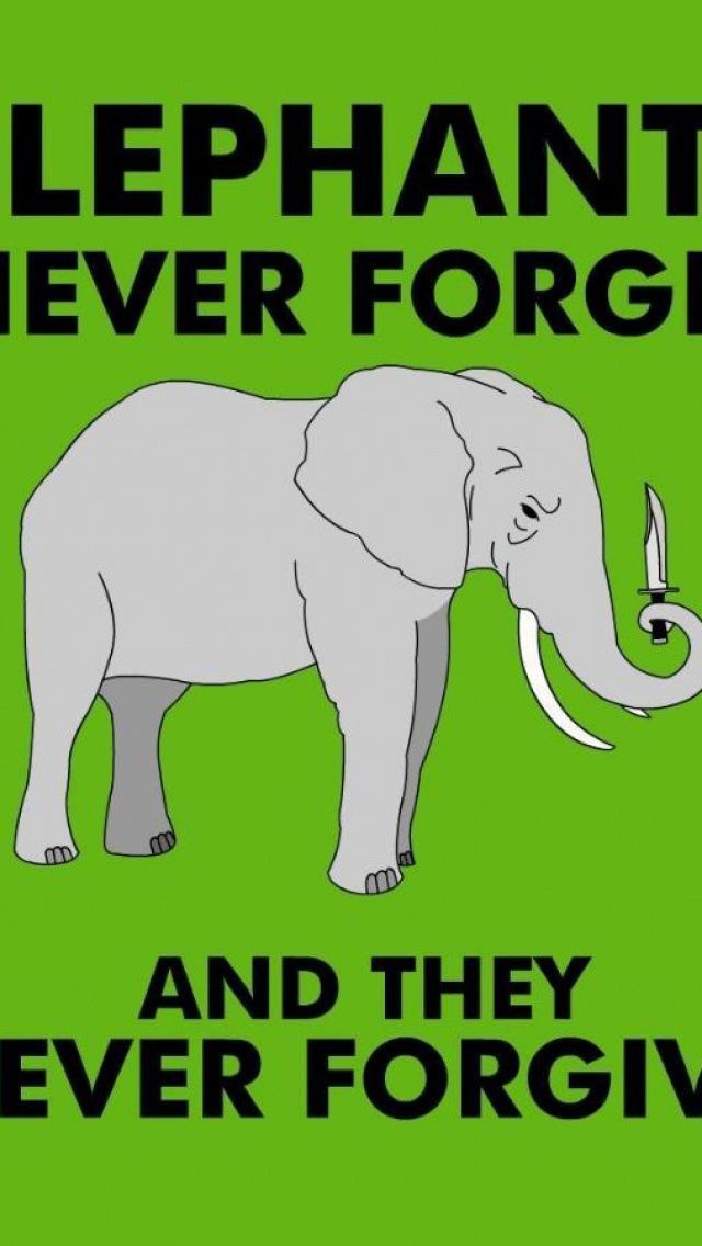 Elephants Never Forget Never Forgive iPhone 5 Wallpaper | ID: 33809